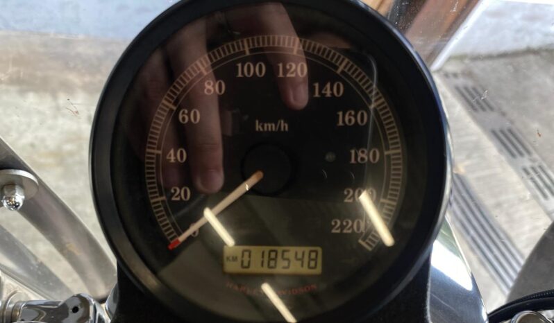 HARLEY DAVIDSON 883 LOW – GARANTIE 12 MOIS P&Mo complet